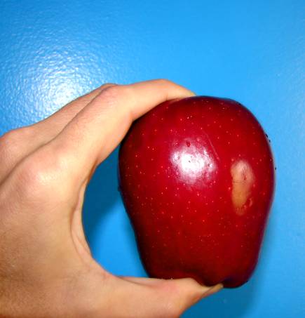 Apple for Teacher