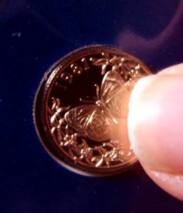 gold coin