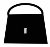 manbag used by mirls